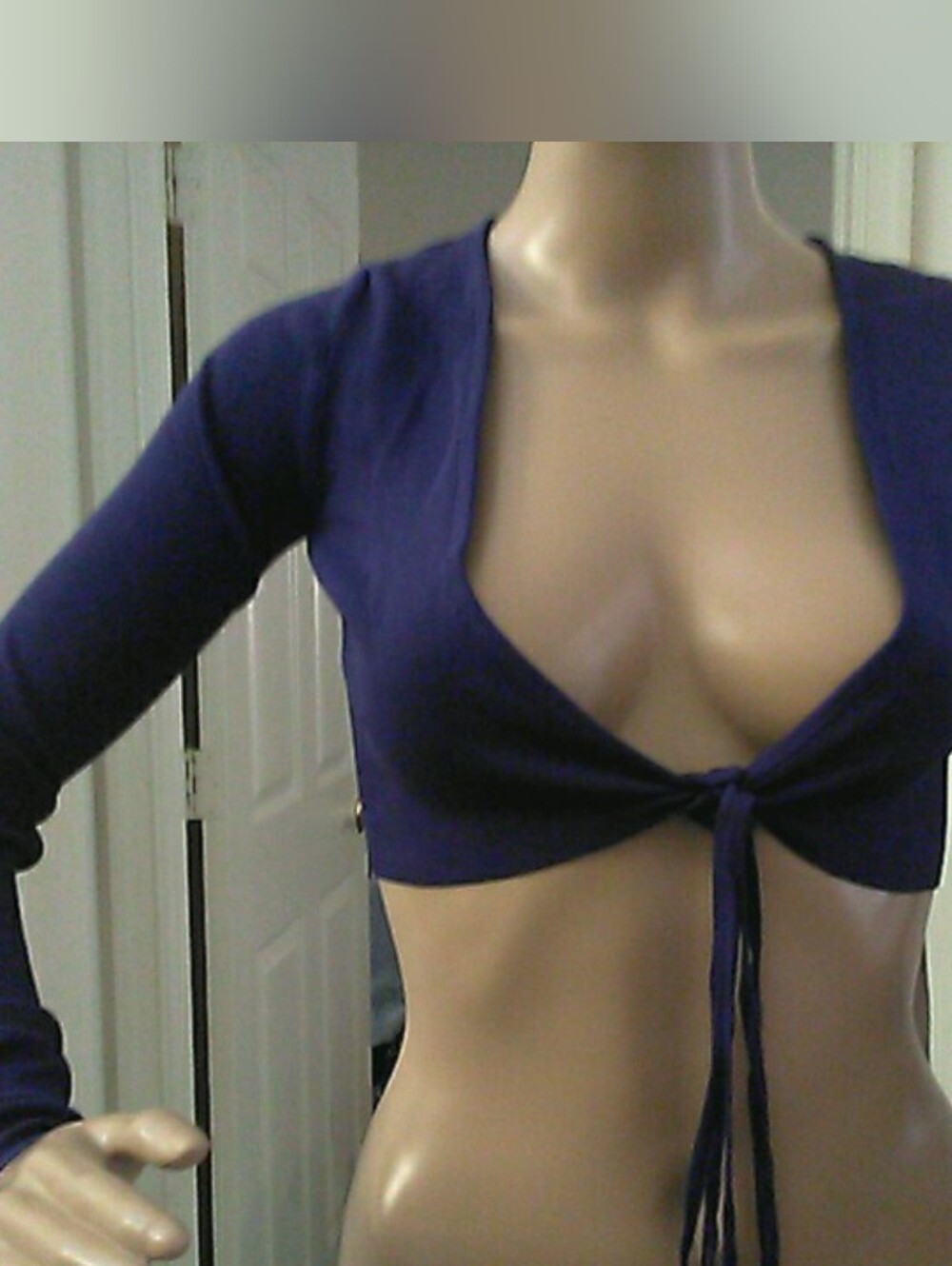 NWT LIONESS COUGER WRAP Deep V Tie-Front Crop Top - Purple SZ. XS
